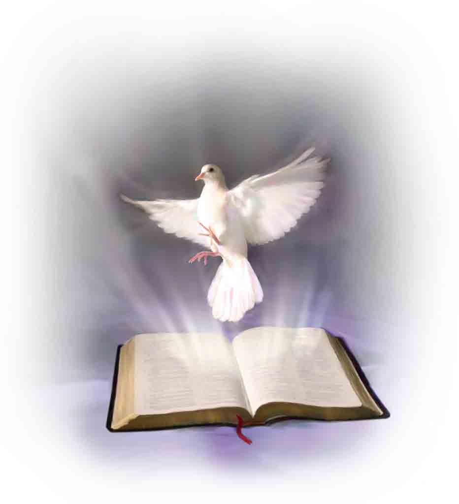 holy-spirit-Bible.jpg