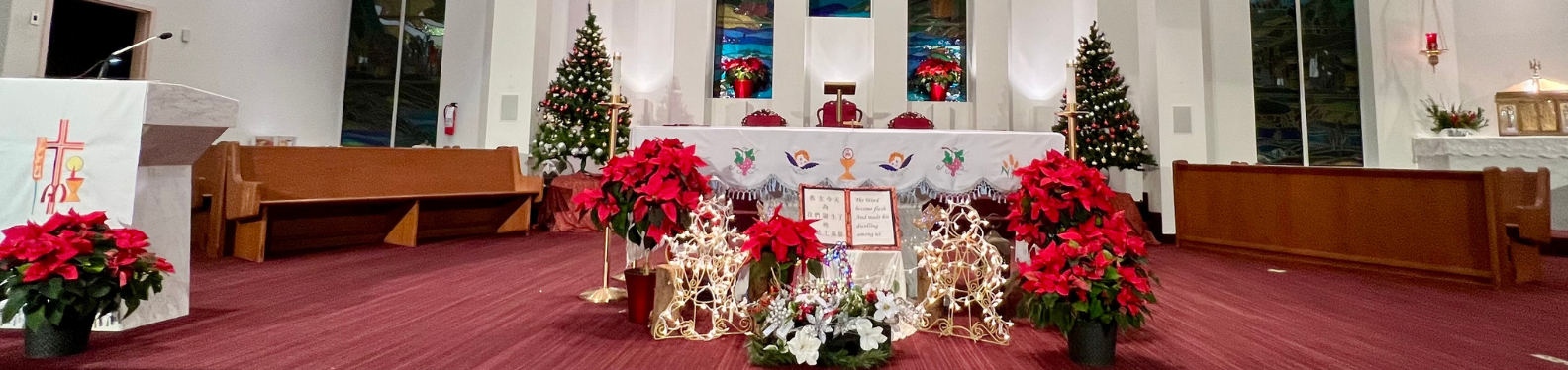 CMCC Altar-Christmas-banner.png