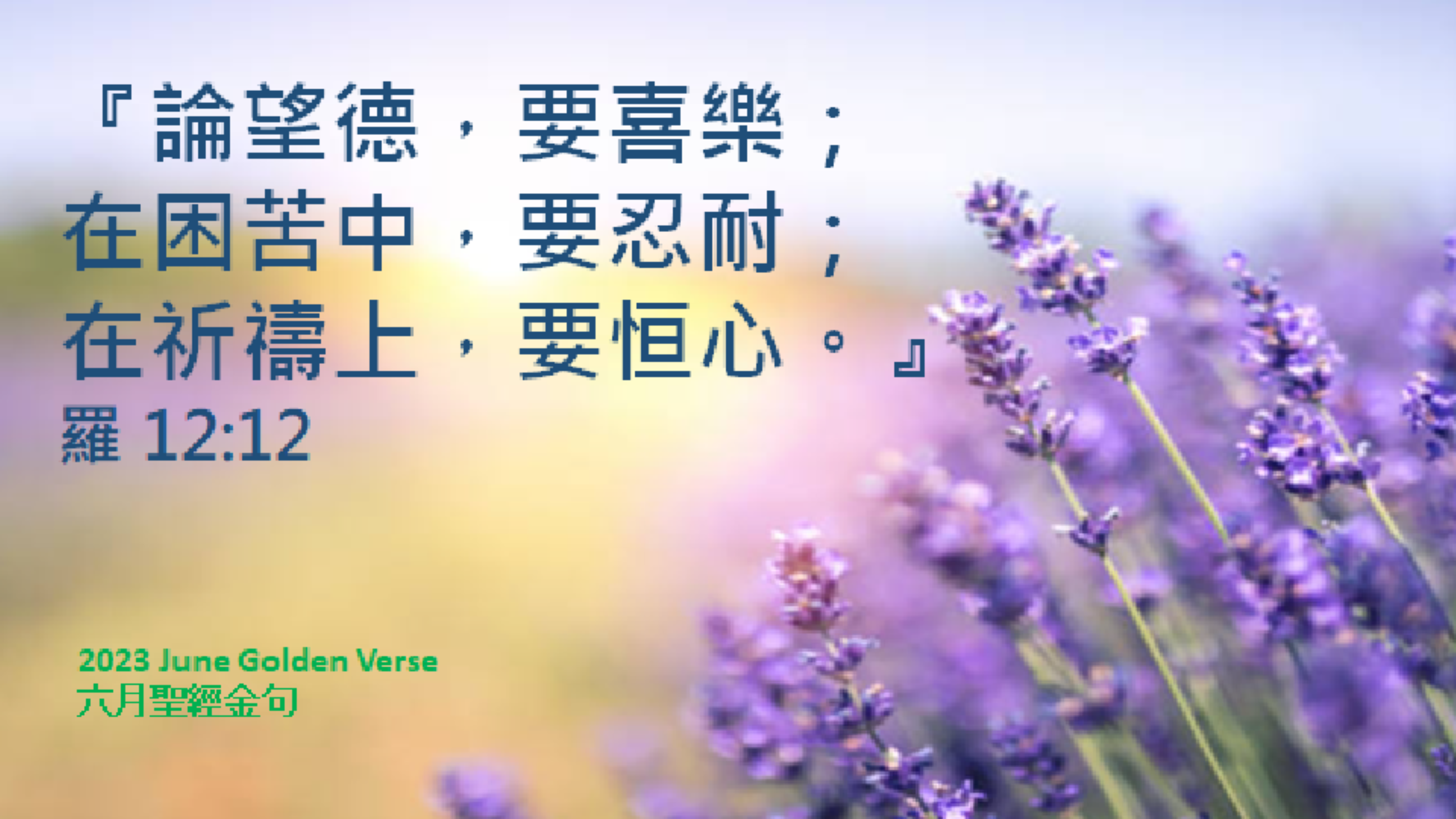 Golden-verse-202306-cn.jpg