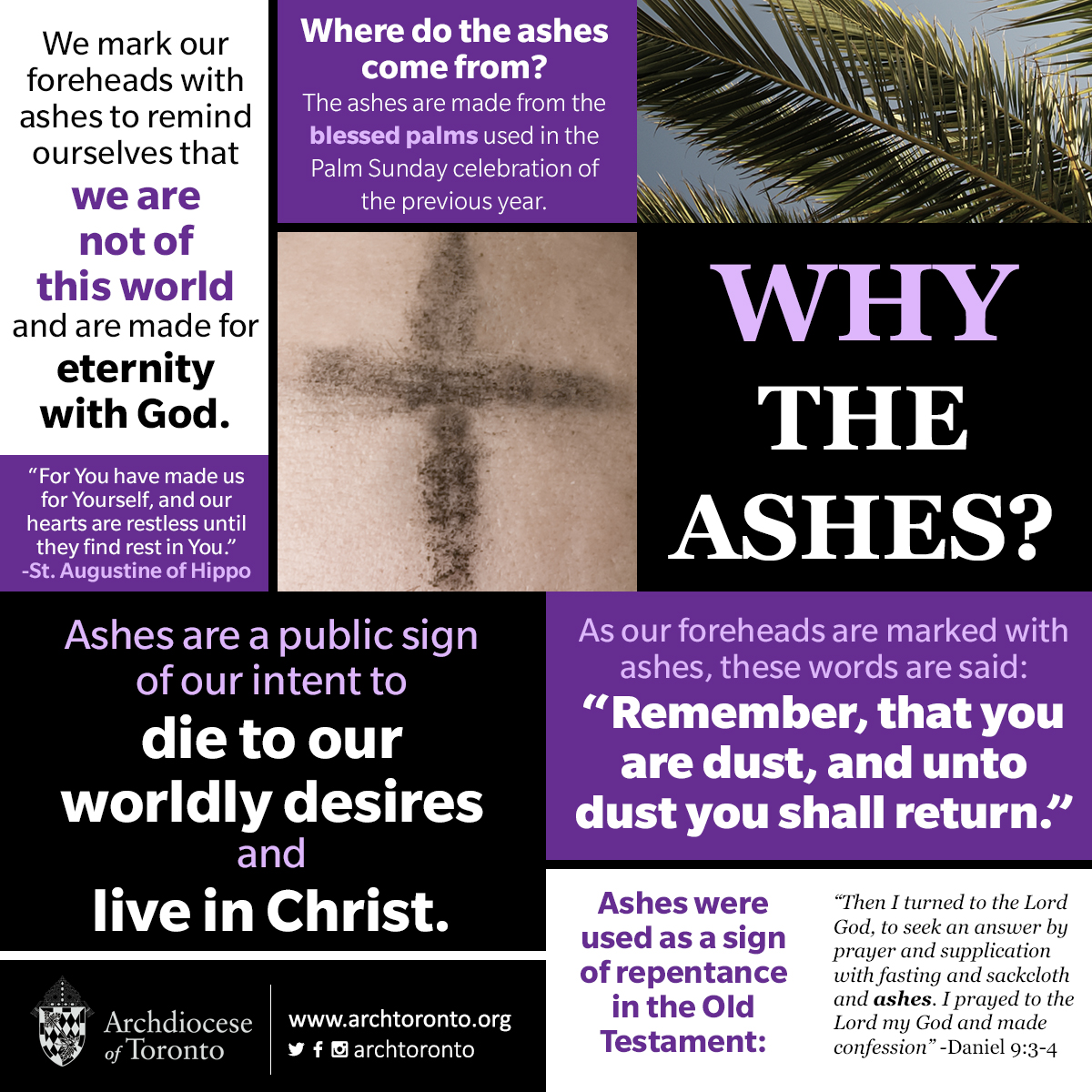 why-the-ashes.jpg