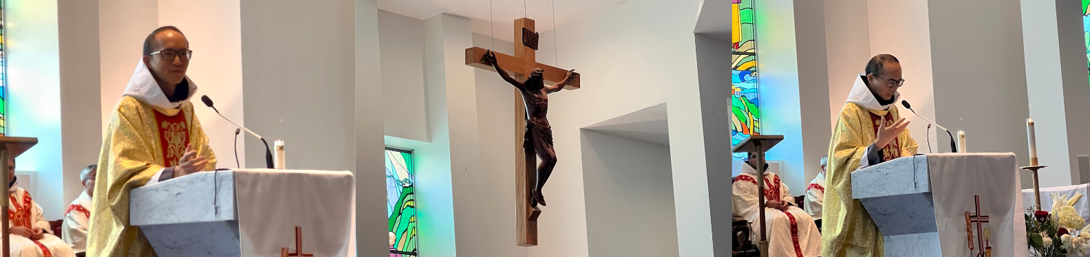 Fr Francis first homily as a priest-banner.png