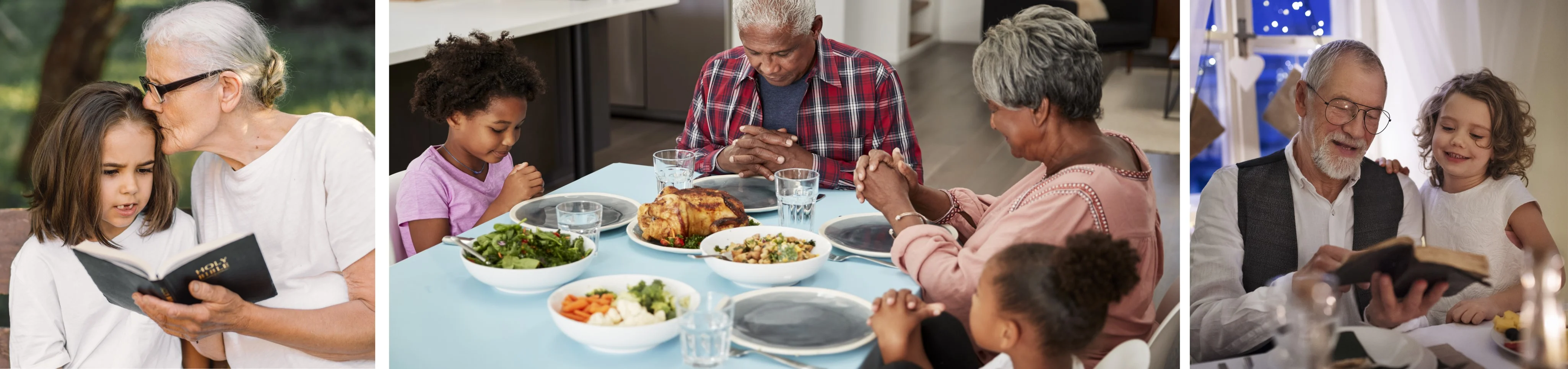 World Day of Grandparents and the Elderly-banner.jpg