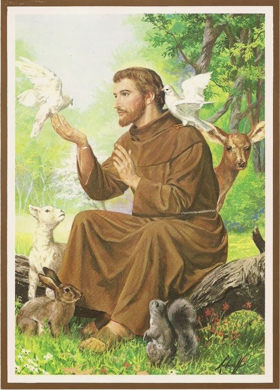 1006 St Francis of Assisi.jpeg